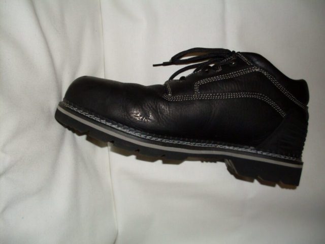 Dickies Footwear